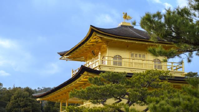 Castello Nijō & Tempio d'Oro & Fushimi Inari & Arashiyama | Kyoto, Giappone: Tour di un giorno alla scoperta dell'antica capitale millenaria