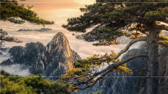 Excursión de un día a Huangshan en Anhui | Opción de guía privado, acompañante para escalar o servicio de coche privado con conductor | Grupo exclusivo sin viaje organizado