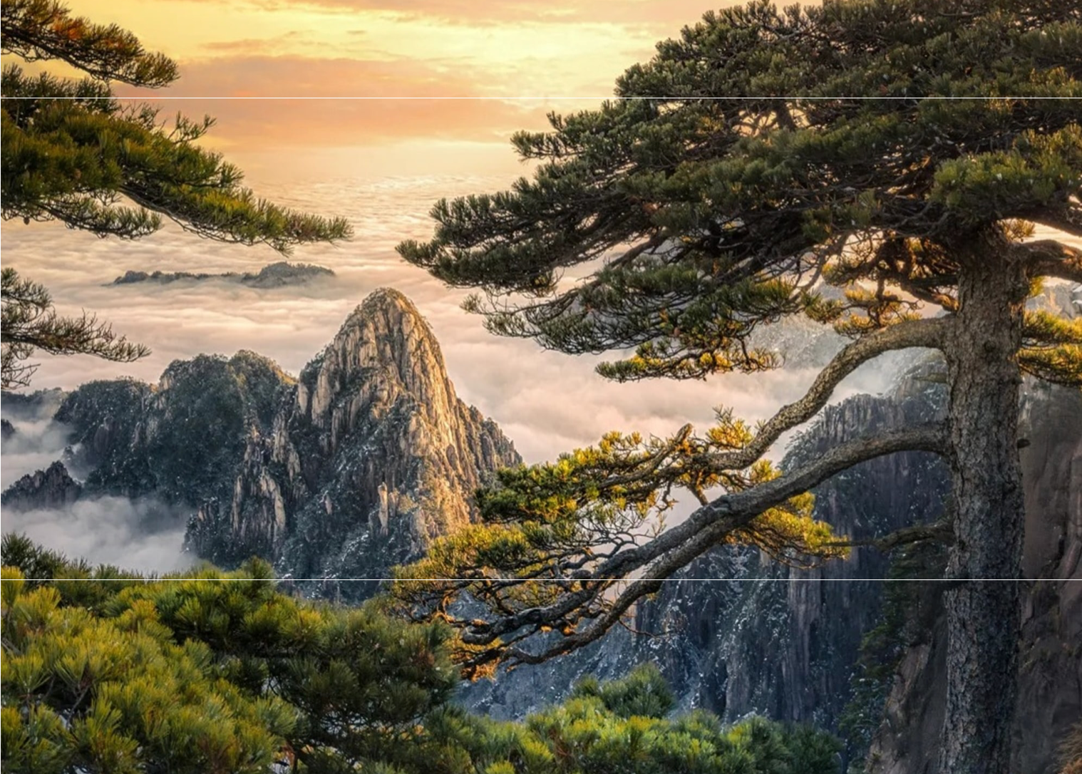 1-day Huangshan Tour in Anhui | Optional Private Guide/Companion Hiking/Private Charter Transfer | Private Group, No Join-in Tour