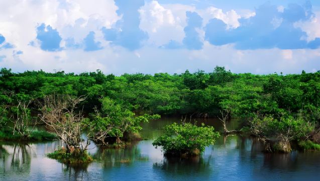 東南亞汶萊 包車一日遊（包車10小時）