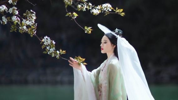 Gongcheng Trip Moments[Hongyan Village, Gongcheng/Longhu Pass/Multilingual Translation/Photographer Services: Follow Shots, Aerial Photography, Companion Shots, Customized Sessions]