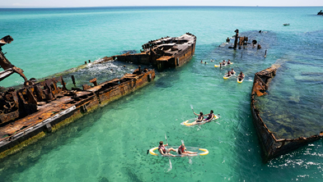 ทัวร์การล่องเรือไปยังซากเรืออับปางที่เกาะมอร์ตันในออสเตรเลีย [ออกเดินทางจากบริสเบน/โกลด์โคสต์]