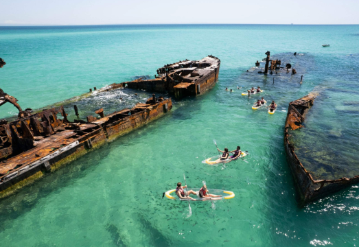 Moreton Island Shipwreck Cruise Tour: Tangalooma Wrecks Snorkelling and Transparent Canoeing