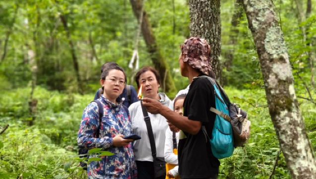 撫松・營地活動【長白山霧凇嶺徒步挖人參|溯溪|野餐烤肉|越野摩托|研學等11項】