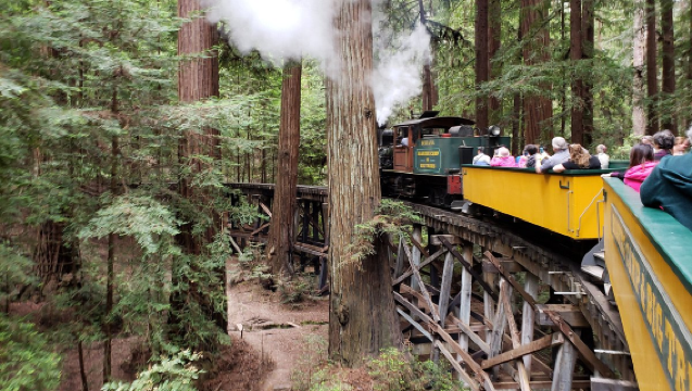 Tagesausflug zur Roaring Camp and Big Trees Narrow Gauge Railroad + Santa Cruz Harbor | Tickets sind selbst zu tragen