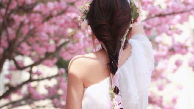 Lawatan sehari sewaan peribadi di bandar Qingdao [Menikmati bunga sakura di Taman Zhongshan + Memberi makan burung camar di Jambatan Zhan + Pulau Xiaomai]