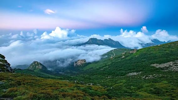 牛背梁國家森林公園一日遊【接駁車】