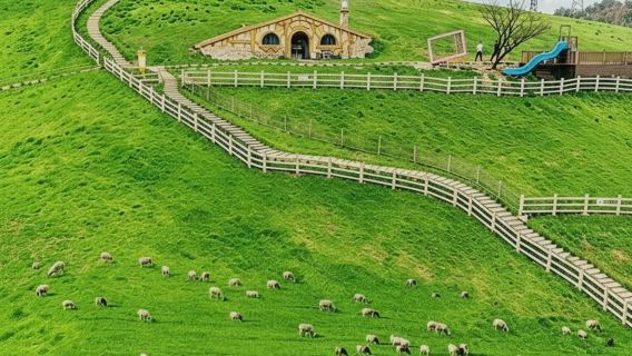Hangzhou till Anji Xian 1-dagars resa: Cloudy Grassland + Cliffside Thrill Park + Xianxia Town