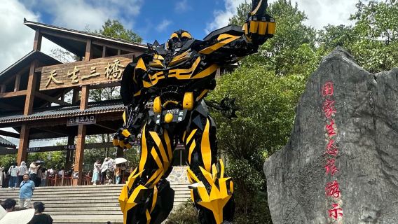 1-day tour in Chongqing ● Wulong Karst tourist area | Three Natural Bridges + Longshuixia Fissure Gorge ● Designated shuttle service
