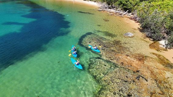 Sydney: Guided Kayak Taster Tour from Manly