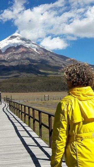 Ecuador Quito Cotopaxi Volcano National Park and Limpiopungo Lake 1-day tour