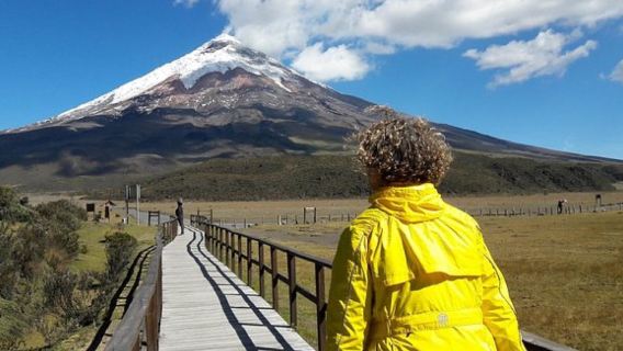 Excursion d'une journée au parc national du volcan Cotopaxi et au lac Limpiopungo depuis Quito, Équateur
