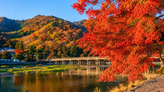 Kyoto UNESCO World Heritage Sites 1d Tour from Osaka/Kyoto
