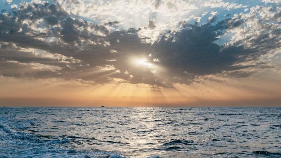 North Coast Dolphins Sunrise Adventure Tour