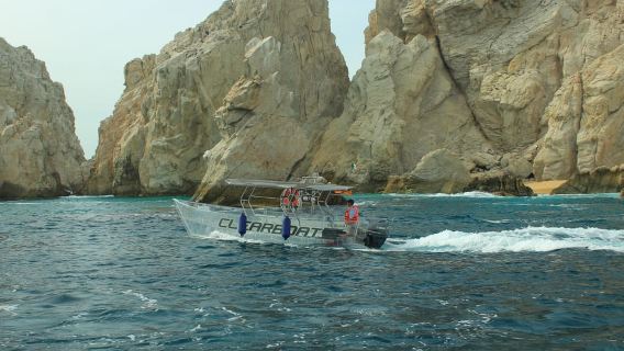 Los Cabos: Transparent Boat Tour with Optional City Tour