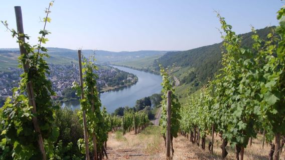 Cochem, Mosel River: Wein-Abenteuerwanderung mit Boot