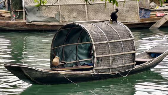 Lawatan sehari ke Bandar Sempadan | Bermula dari Fenghuang · Perkampungan Miao Gunung Bambu + Cha Dong + Pekan Furong · Kumpulan kecil 12 orang hiburan tulen