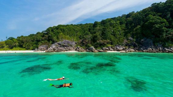 Phuket'ten başlayan: Similan Adaları şnorkelli günübirlik tur