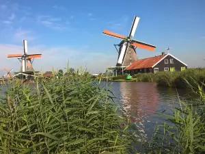 Zaanse Schans Windmills, Clogs and Dutch Cheese Small-Group Tour from Amsterdam 