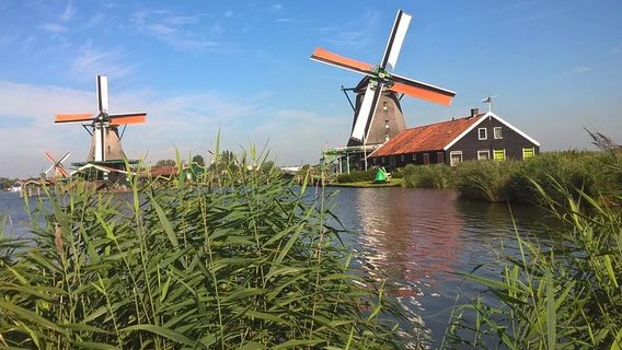 AmsterdamTours