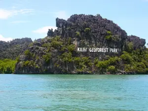 Kilim Geoforest Mangrove Boat Tour (Sharing)