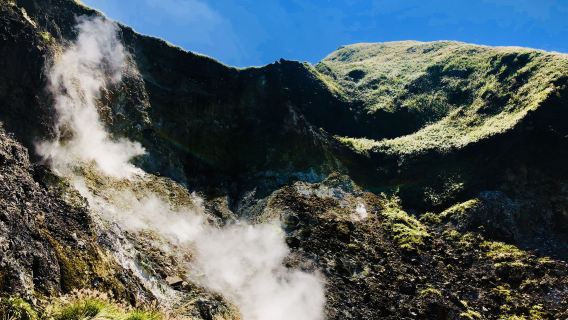 台北国立故宮博物院+陽明山国家公園+淡水老街チャーター車ツアー【台北発】