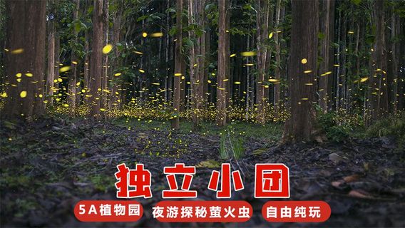 勐臘日遊