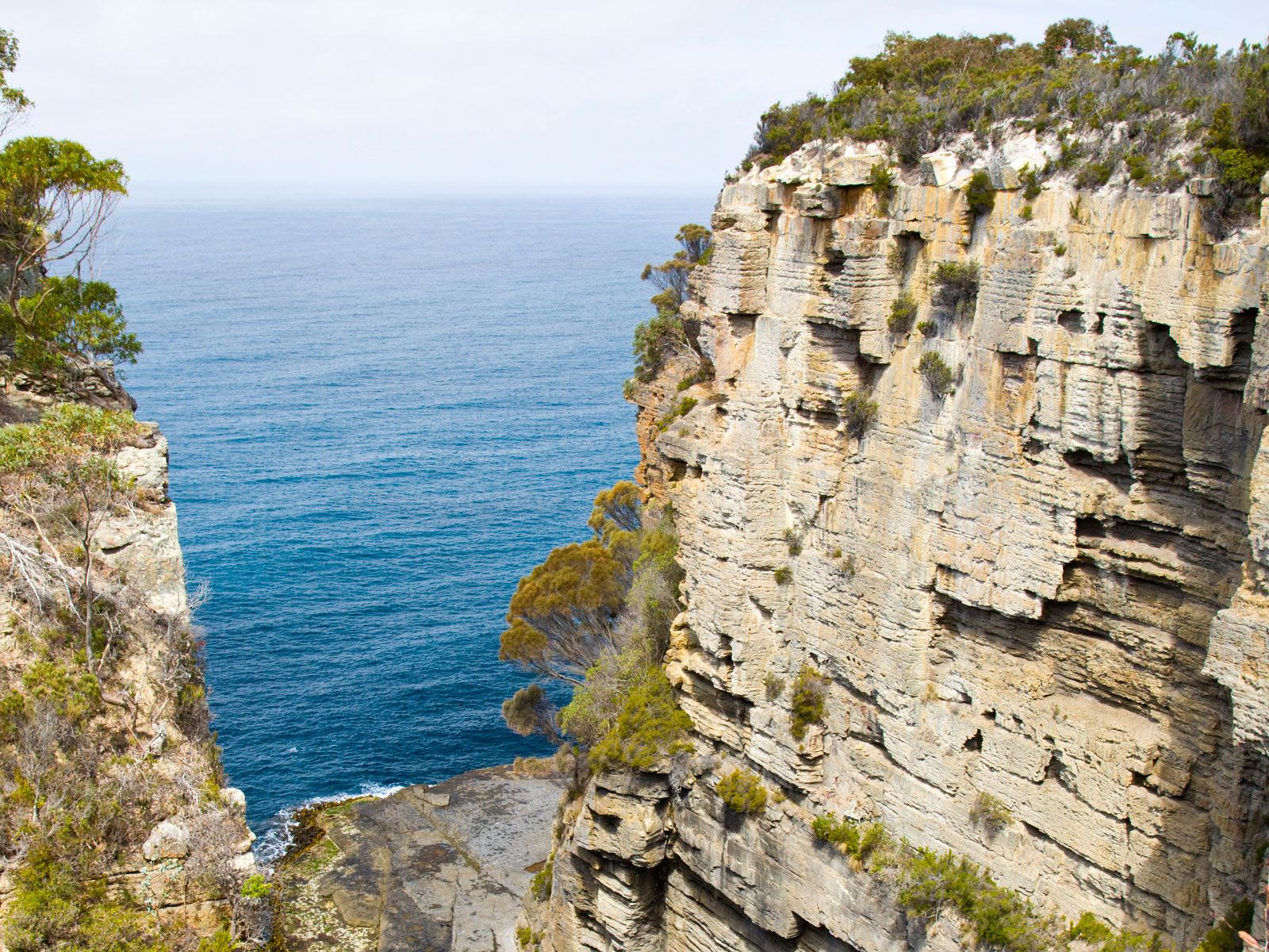 塔斯馬尼亞亞瑟港歷史遺址＋塔斯曼4大奇跡一日遊【市區接駁】