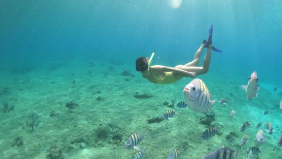 CancunTours