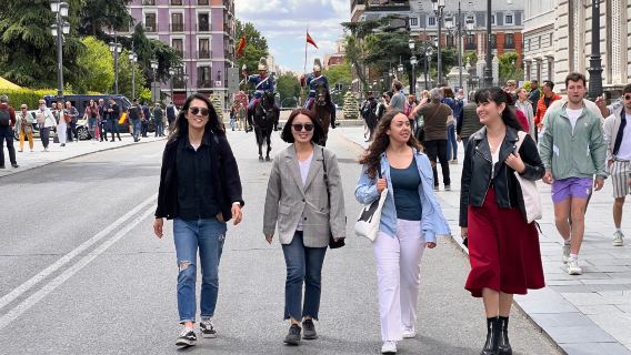 Madrid Walking Tour & Flamenco Show