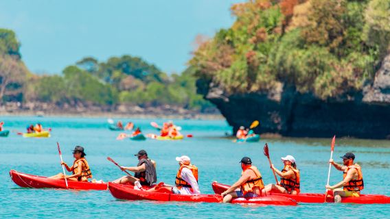 Ang Thong Marine Park Snorkeling and Kayaking Experience from Koh Samui
