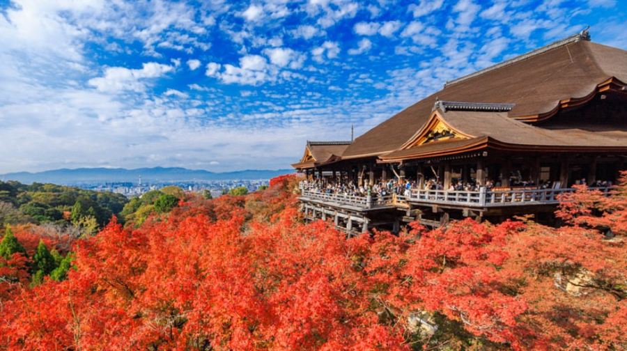 【京都&宇治一日遊】金閣寺+清水寺+平等院+抹茶美食街
