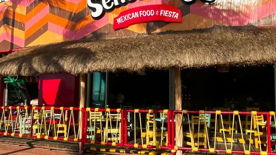 Señor Frogs Cozumel: Froschpass