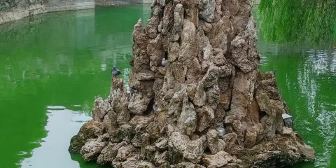 長沙李自健美術館+五一廣場+開福寺一日遊中英文服務不含門票