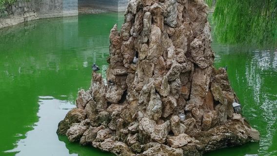 Changsha Li Zijian Art Museum + May Day Square + Ancient Kaifu Temple + Orange Island one-day tour English service available