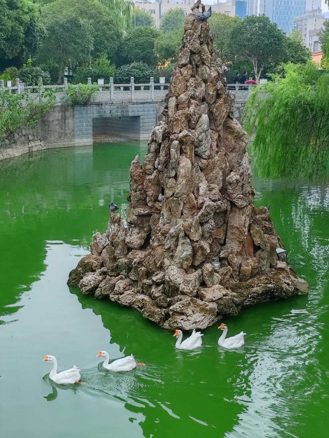 Changsha Li Zijian Art Museum + Wuyi Square + Ancient Kaifu Temple + Orange Island 1-day tour with English service available