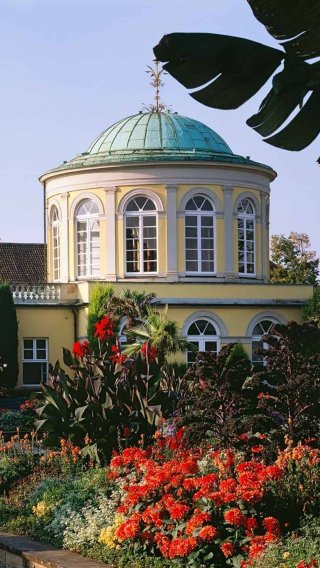 Germany + Old Town Hall - Hannover + Herrenhausen Garden + Berggarten 1-day tour