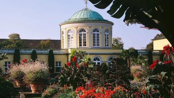 Passeio de um dia na Alemanha: Antiga Prefeitura de Hanôver + Jardins Reais de Herrenhausen + Berggarten de Hanôver