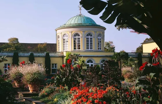 德國+漢諾威老市政廳+海恩豪森王室花園+貝格花園一日遊