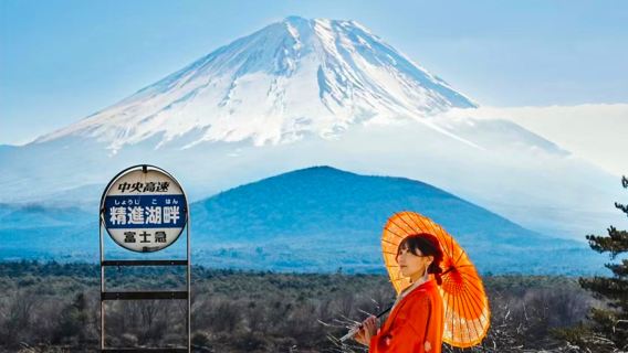 日本東京富士三湖網紅列車【9人精品團|上門接送|中文導遊