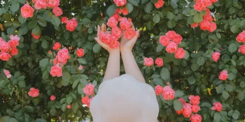 洛陽Trip Moments【情侶婚紗/個人寫真/全家福集體照/商業攝影攝像跟拍航拍街拍】