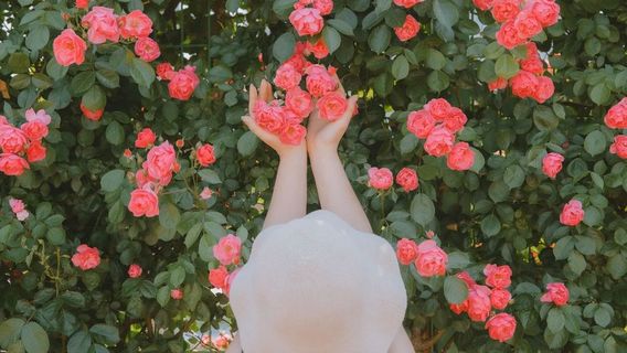 뤄양