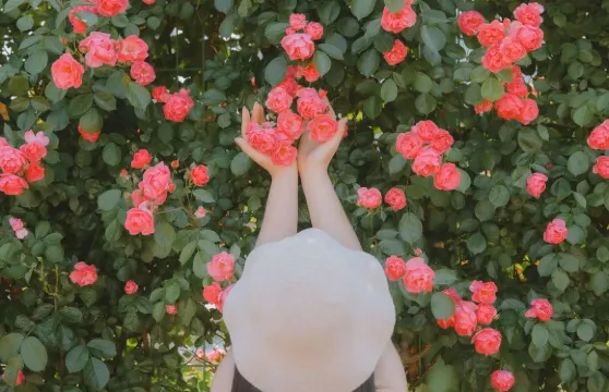 洛陽Trip Moments【情侶婚紗/個人寫真/全家福集體照/商業攝影攝像跟拍航拍街拍】