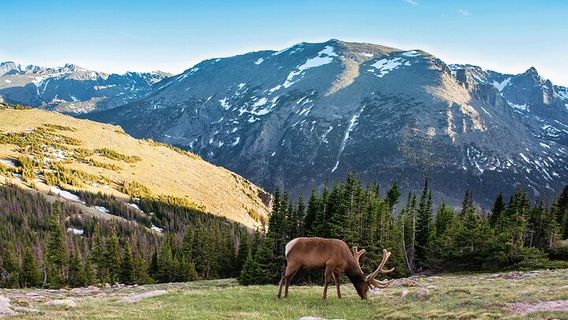 DenverTours