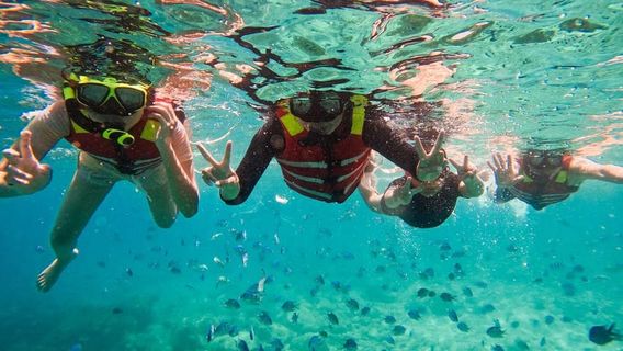 DalatTravel Services