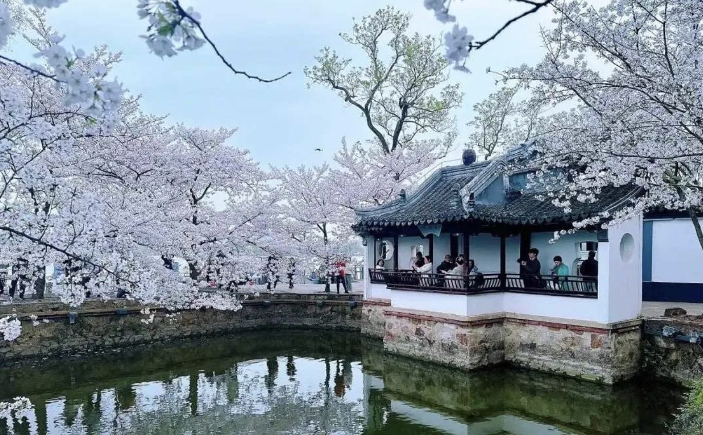 Wuxi Tai Hu Yuantouzhu Scenic Spot & Nianhua Bay & Lingshan Giant Buddha Private Charter 1-Day Tour | Departing from Suzhou - Family Tour