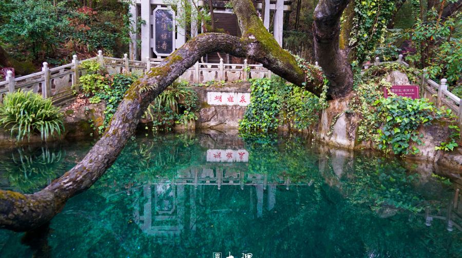 大理崇聖寺+喜洲古鎮+蝴蝶泉【慢大理2-9人獨立包團上門接送】