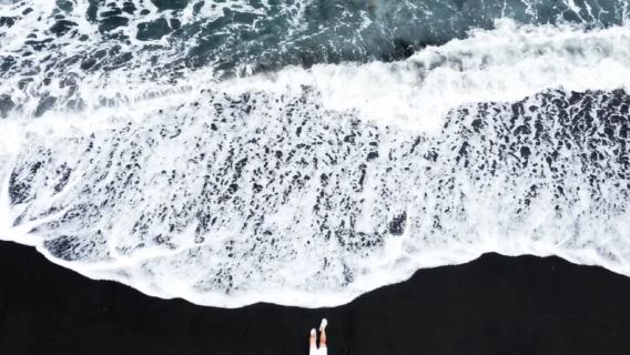 峇里島烏布+黑沙灘一日遊：中文司機飯店專車接駁-純玩之旅