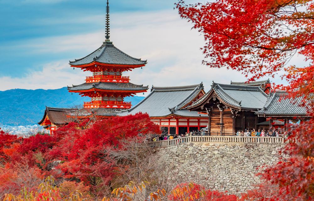 京都清水寺+二三年坂+金閣寺+千本鳥居 一日巡礼 千年の京都