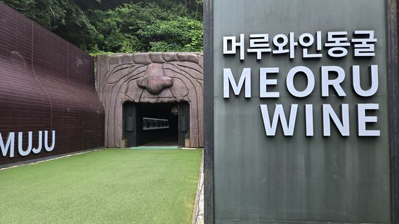 DaejeonTours